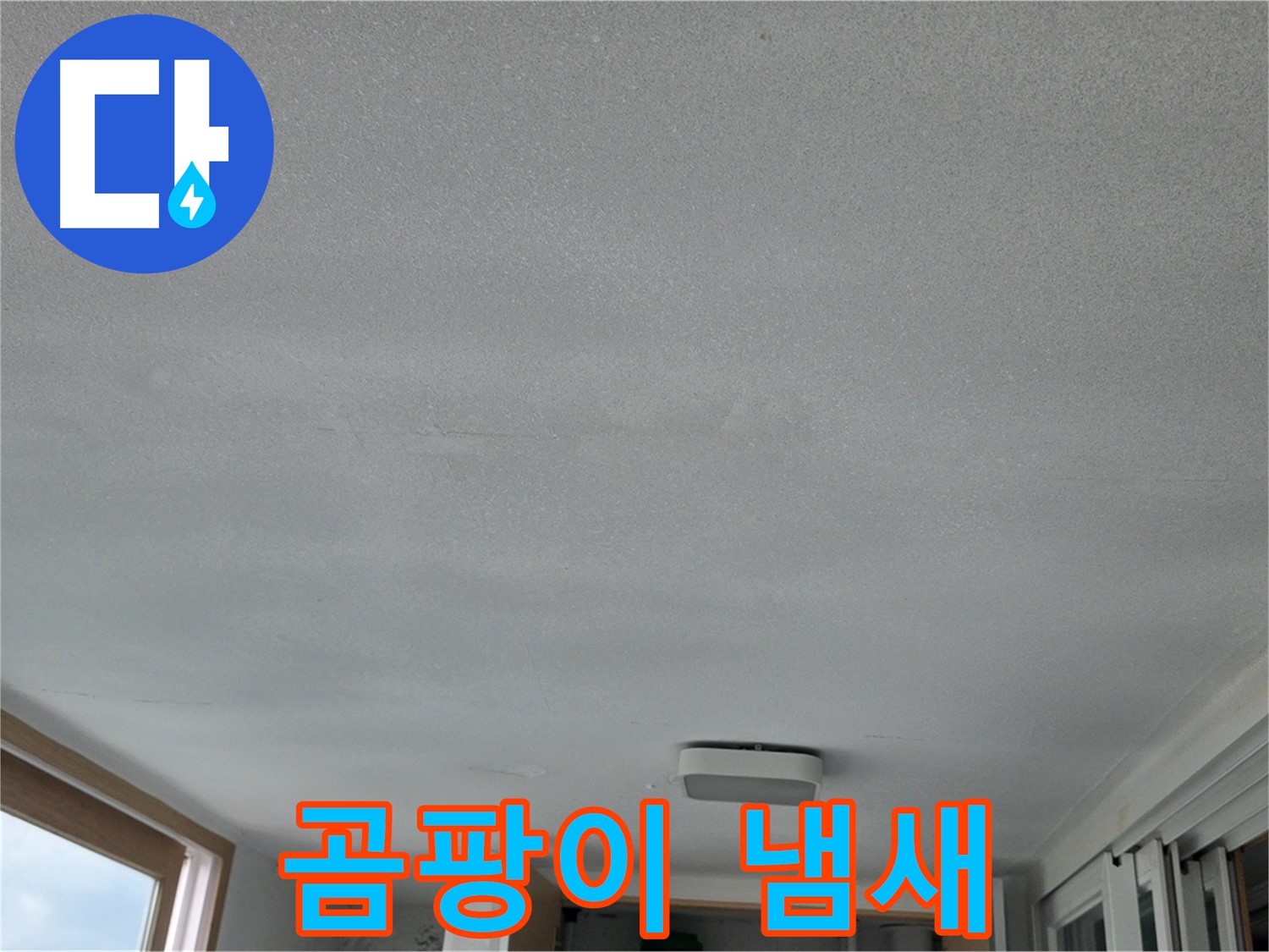 포천 일동 누수 - 천장 누수, 곰팡이 냄새 심각