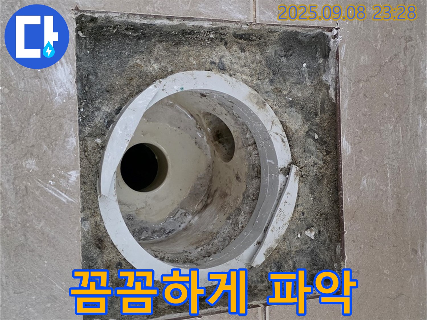 포천 일동 - 배수구 주변 꼼꼼하게 파악 중