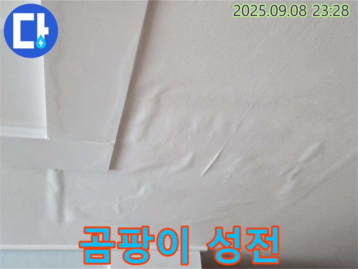 포천 일동 아파트 - 곰팡이 성전 - 건강 위협 - 누수 해결 필수