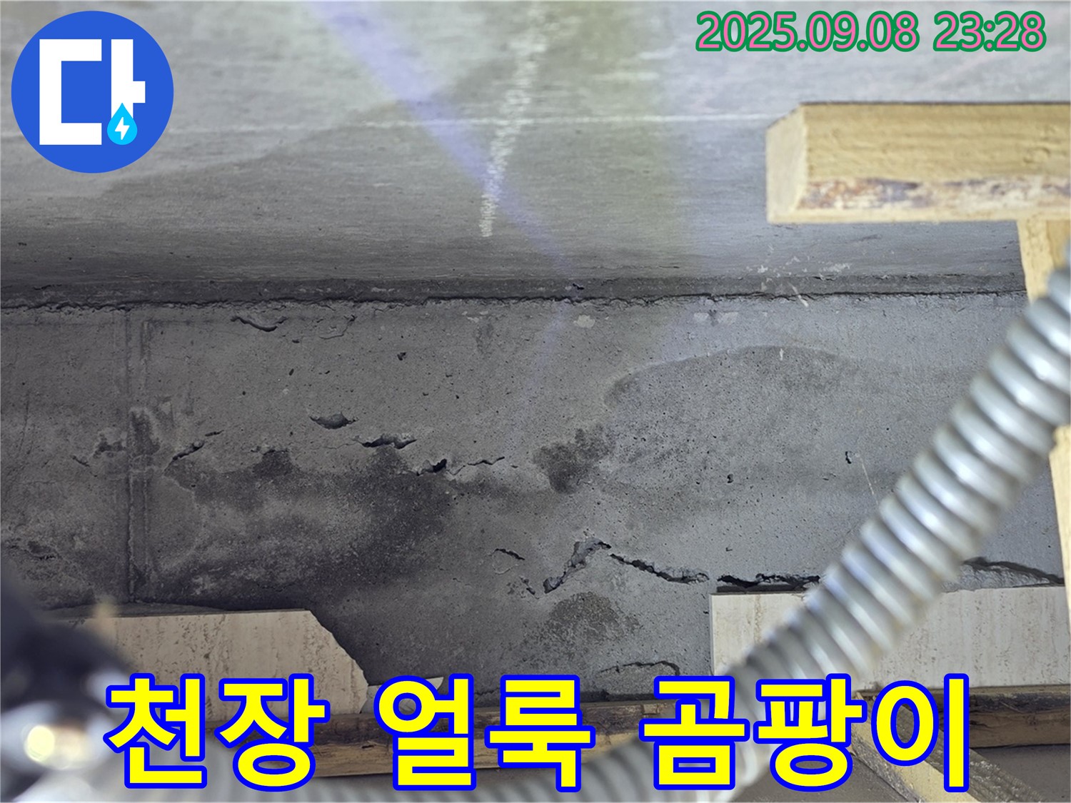포천 일동 아파트 누수 - 콘크리트 천장, 젖은 얼룩과 함께 곰팡이 발생, 건강 위협