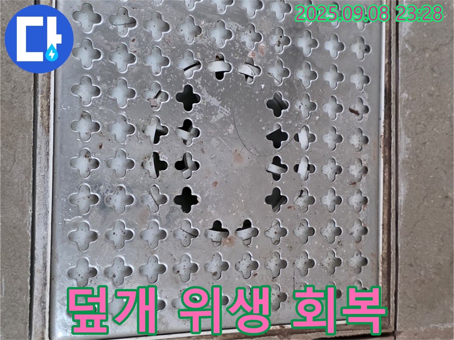 포천 일동 아파트 - 배수구 덮개 교체 - 잃어버린 위생을 되찾으세요!