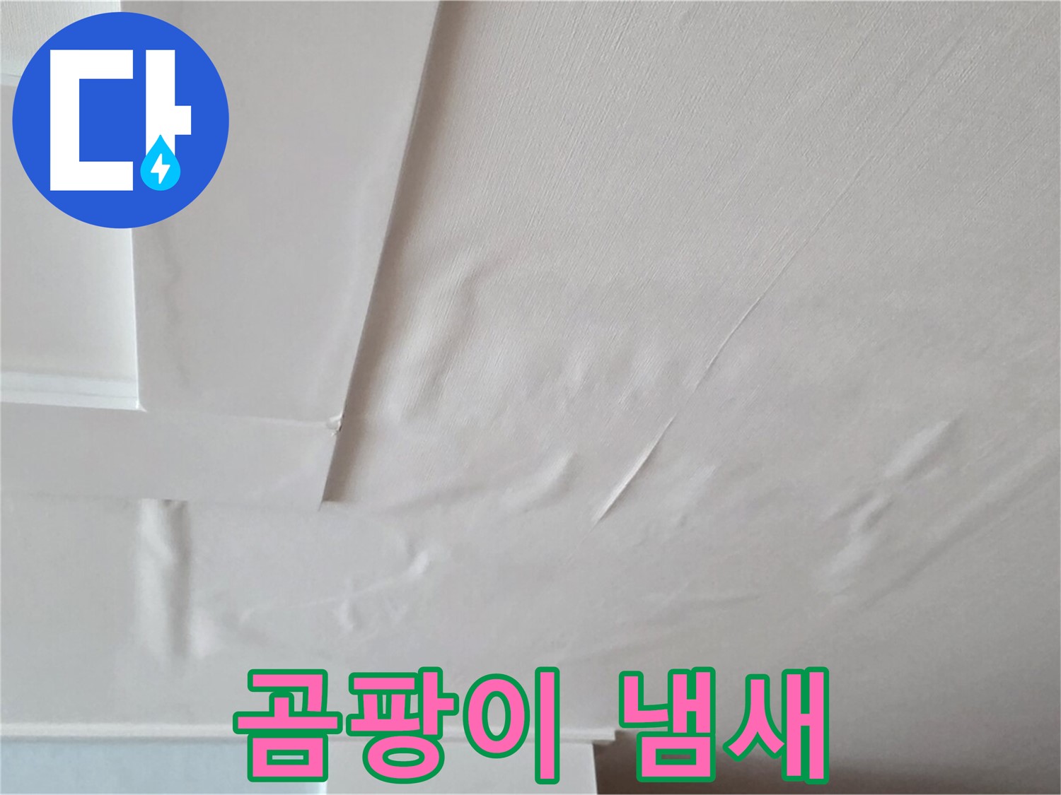 포천 일동 아파트 천장 누수 - 곰팡이 냄새 발생