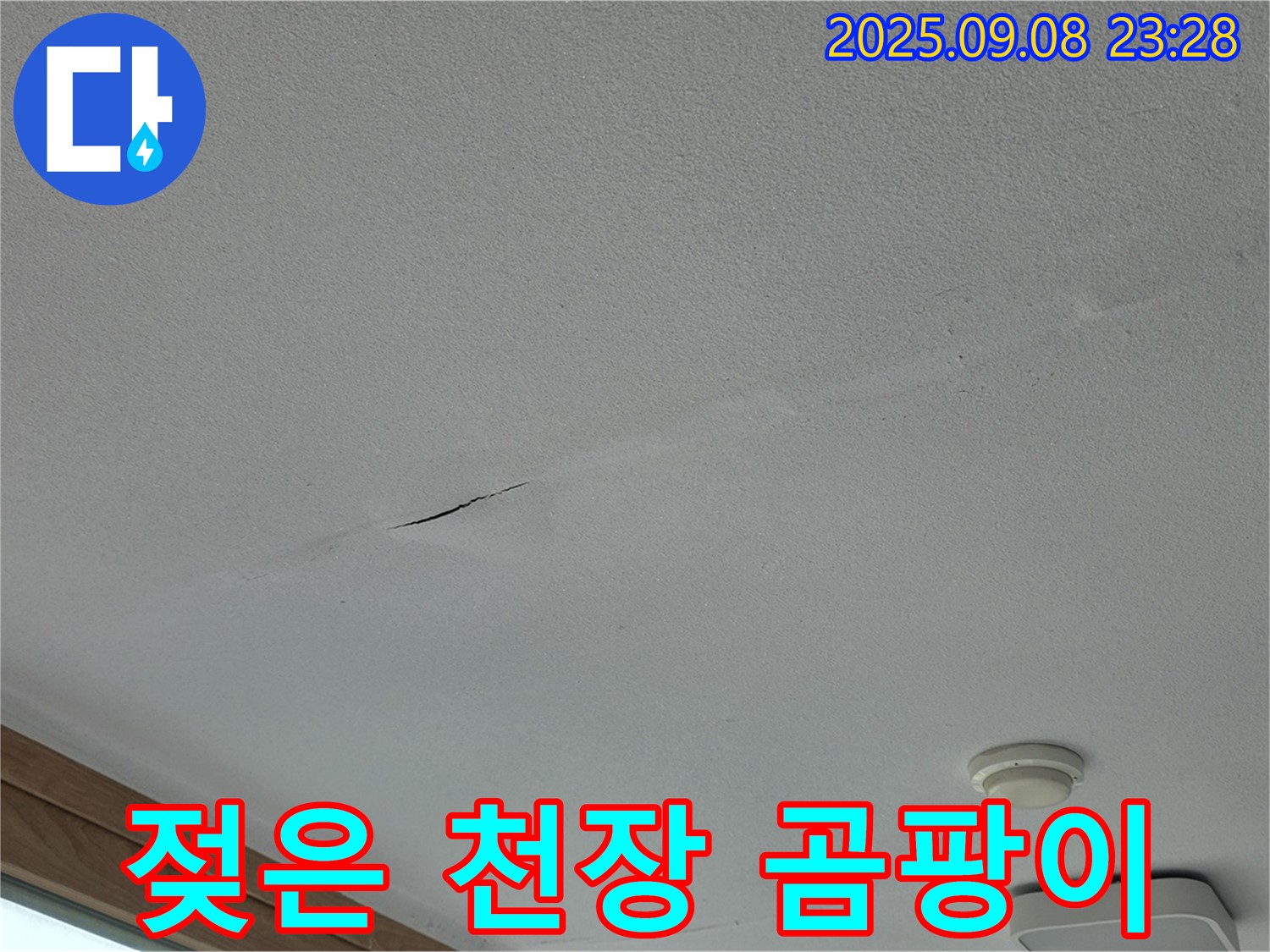 포천 일동면 아파트 누수 - 젖은 천장! 곰팡이 포자 확산 우려!