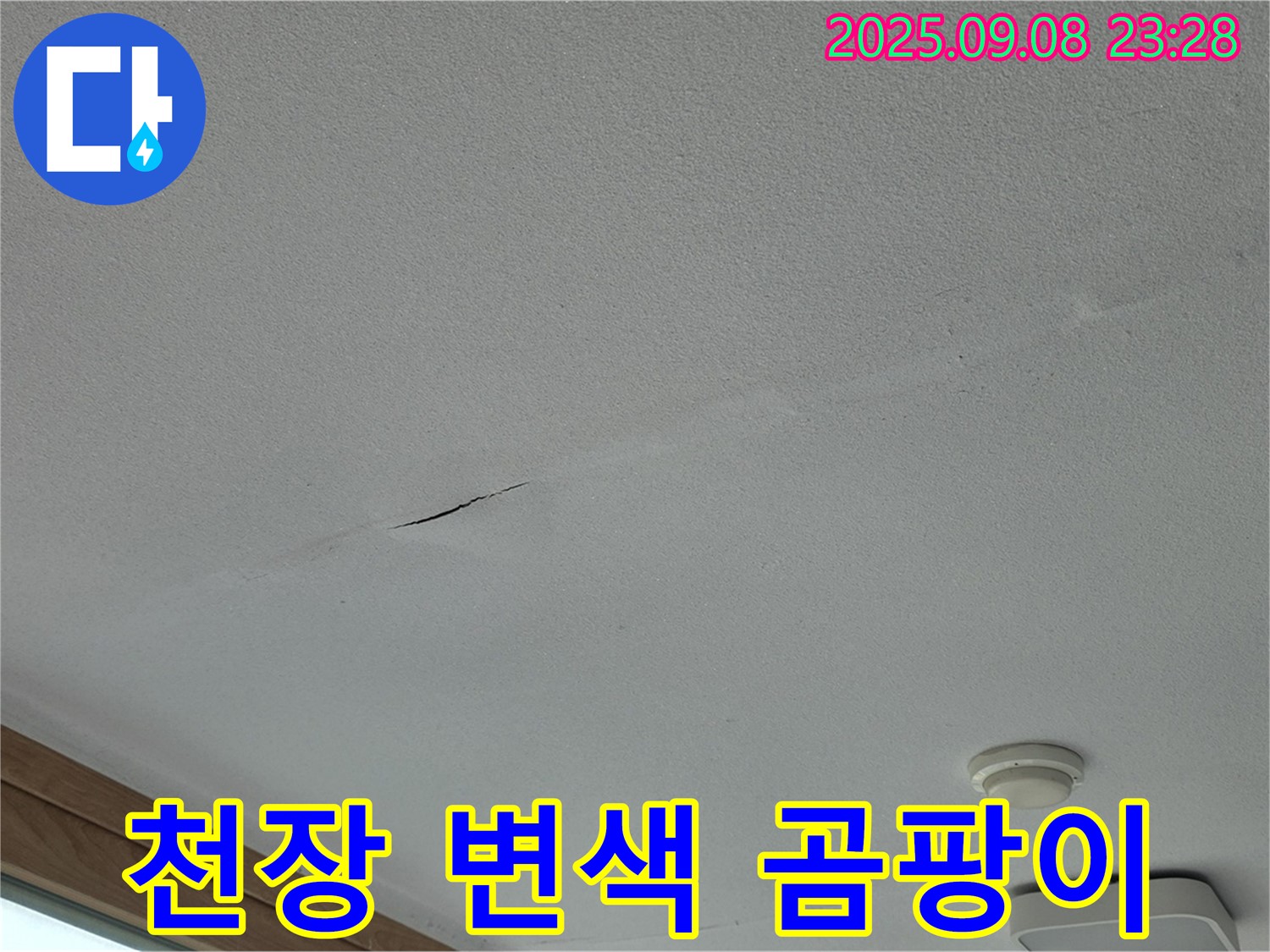 포천 일동면 아파트 누수 - 천장 변색! 곰팡이 발생 전조 증상!