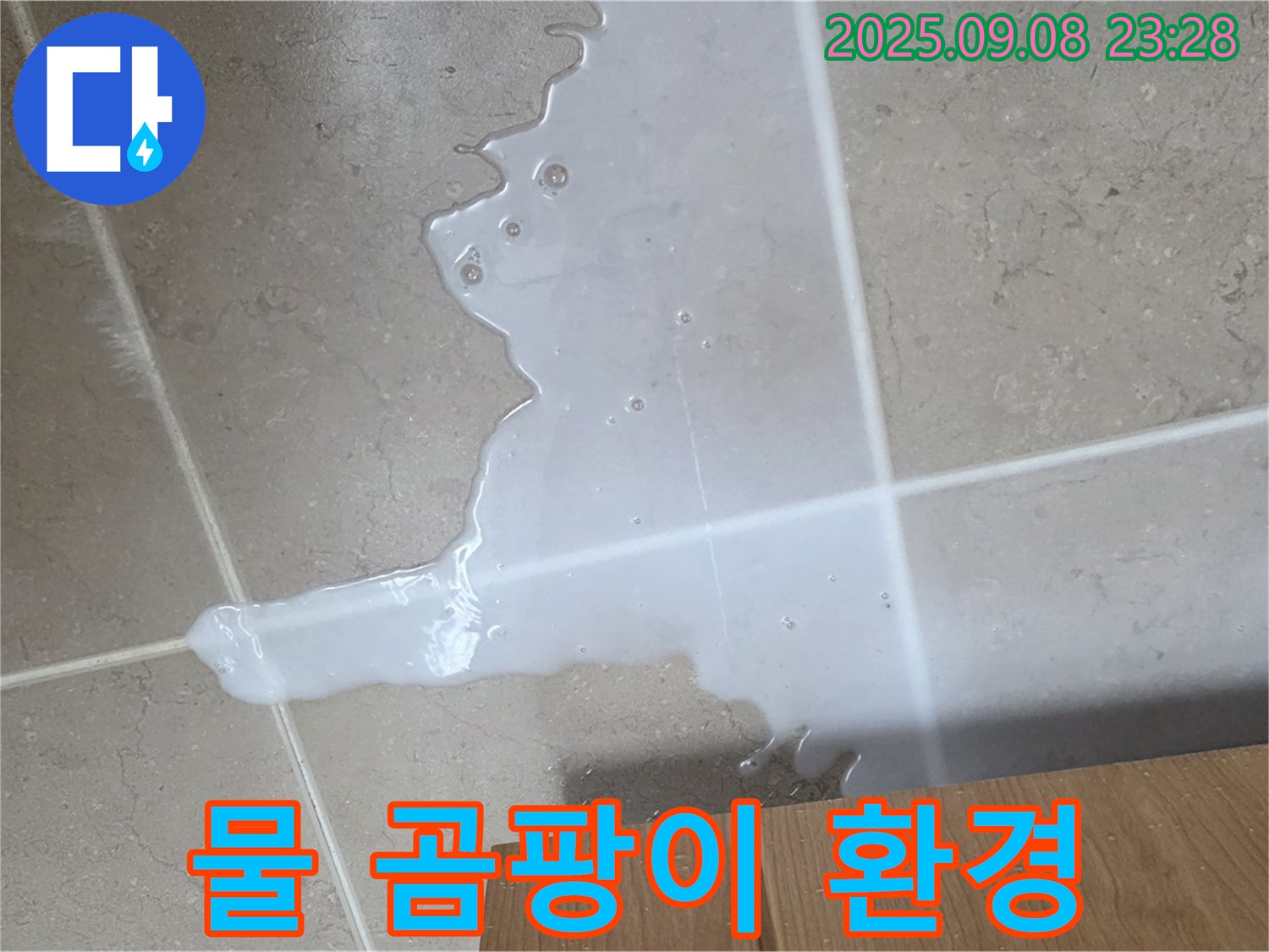 포천시 일동면 기산리 - 싱크대 물 - 곰팡이 서식 최적 환경