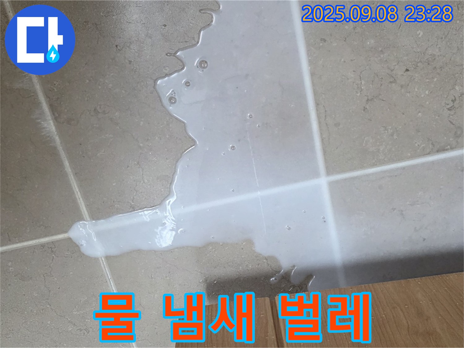 포천시 일동면 기산리 - 싱크대 물 - 냄새, 벌레 꼬임 - 위생 문제 심각
