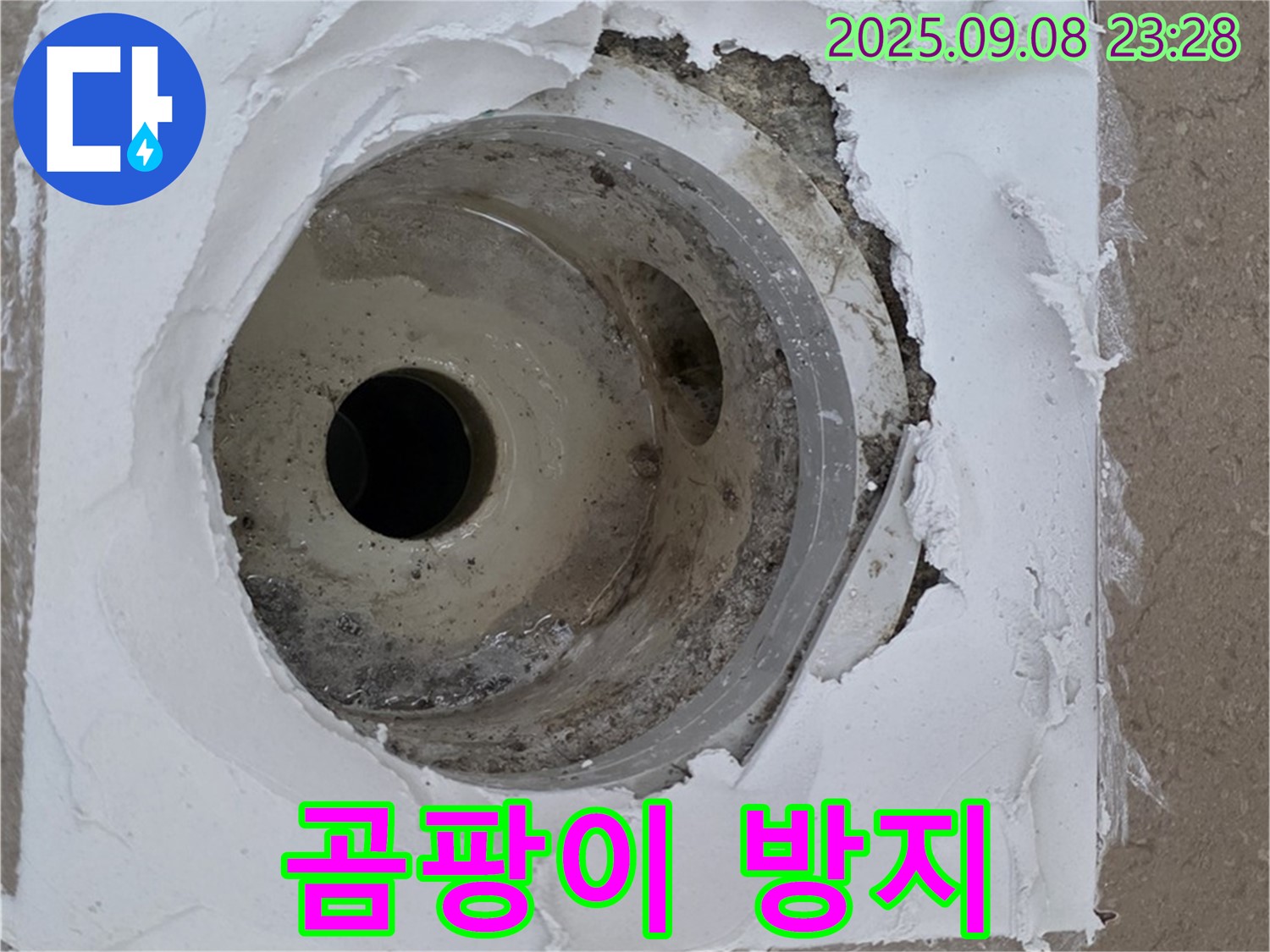 포천시 일동면 기산베스트빌 - 배수구 주변 곰팡이 방지 줄눈 시공 작업