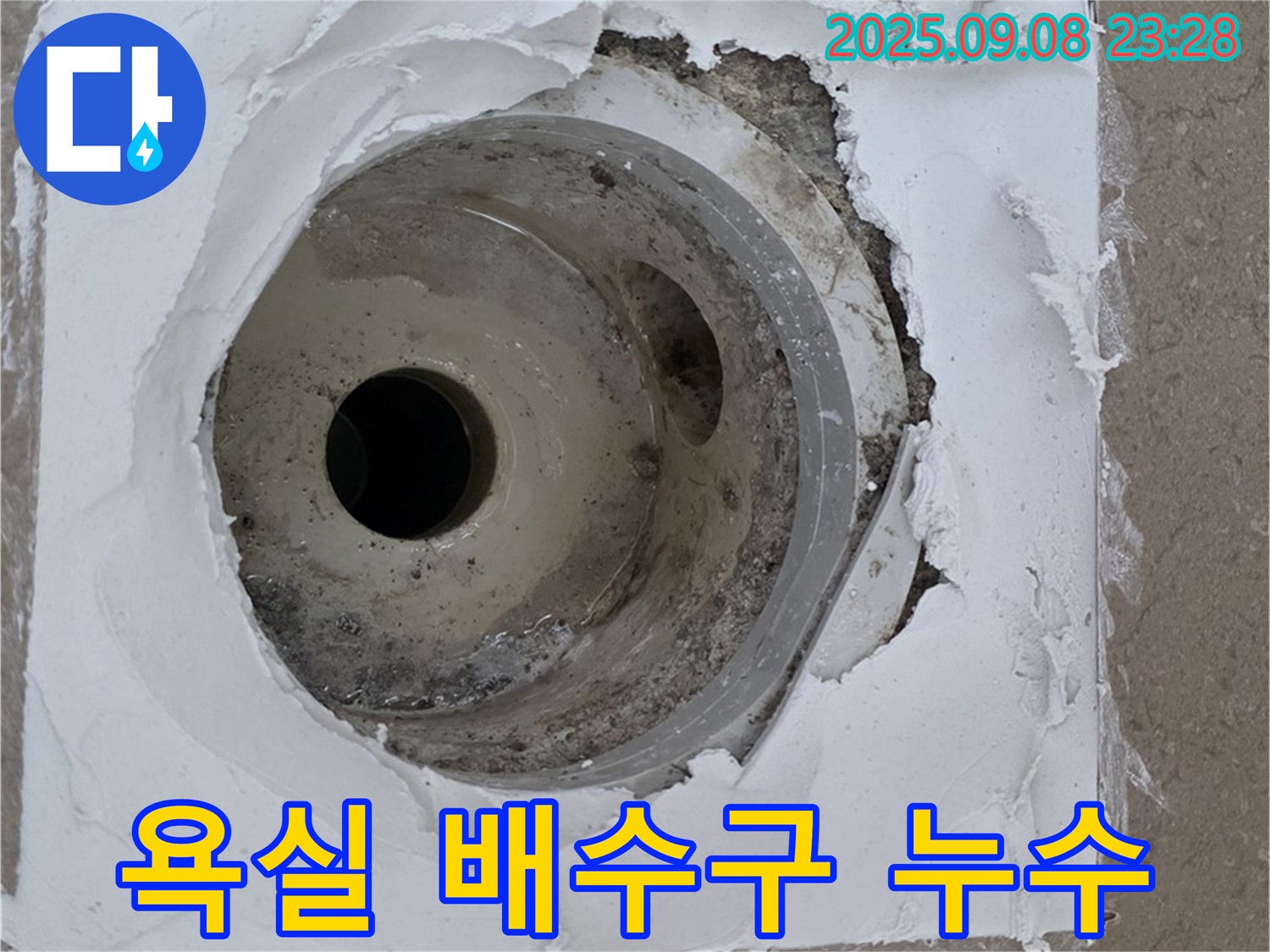포천시 일동면 아파트 욕실 배수구 주변 누수 - 문제 해결을 위한 전문적인 누수 탐지 및 공사 과정