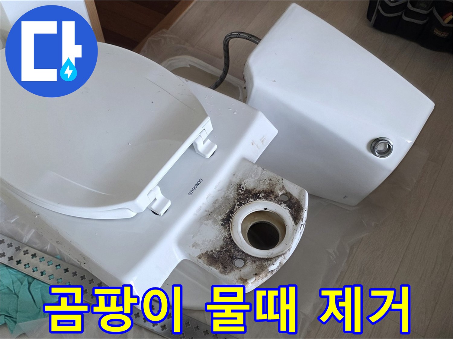 포천시 일동면 운악청계로 아파트 변기 누수, 곰팡이 및 물때 제거 작업 진행 중