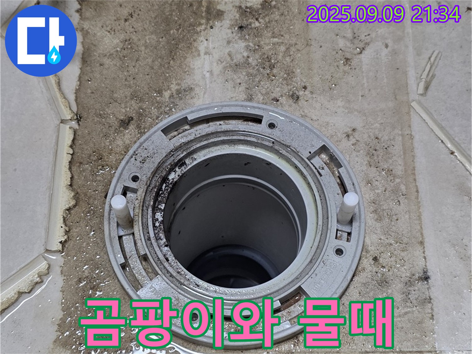 곰팡이와 물때 - 누수로 인한 곰팡이