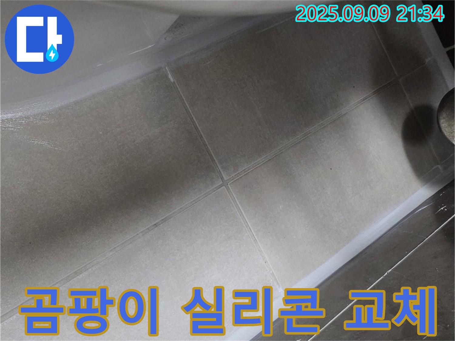 변기 테두리 곰팡이 제거 - 곰팡이 방지 실리콘으로 교체!