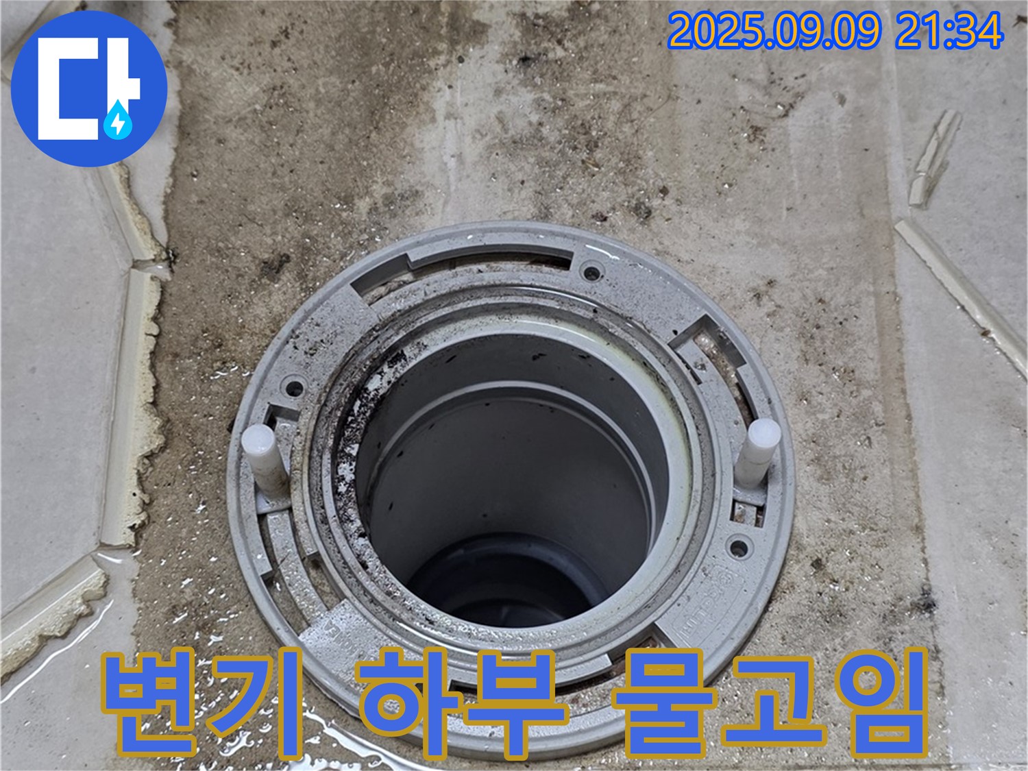 변기 하부 물고임 - 변기 하부에 고인 물
