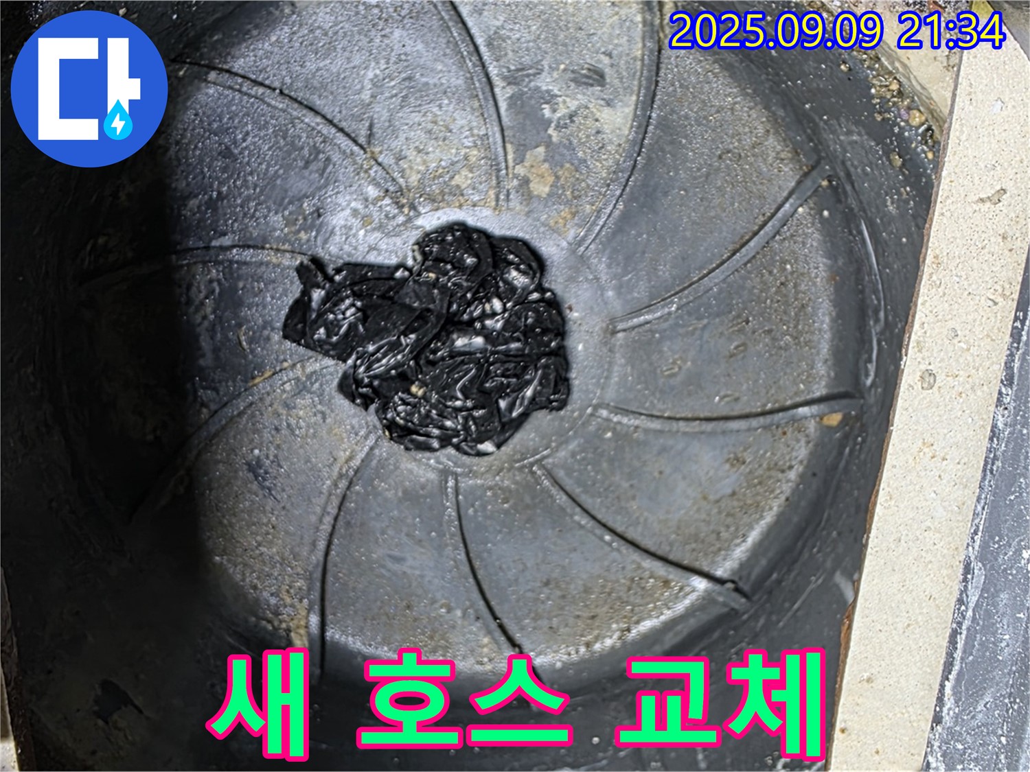 세탁기 급수 호스 교체 - 새 호스로 안전하게