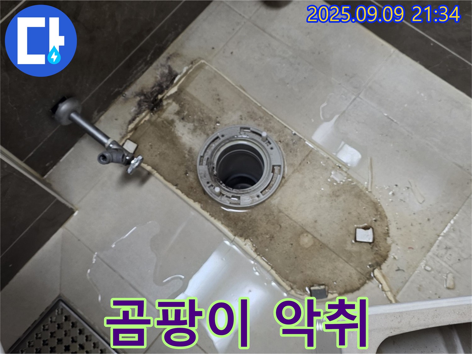 양주 옥정동 율정마을 아파트 - 변기 철거 후 곰팡이 악취!