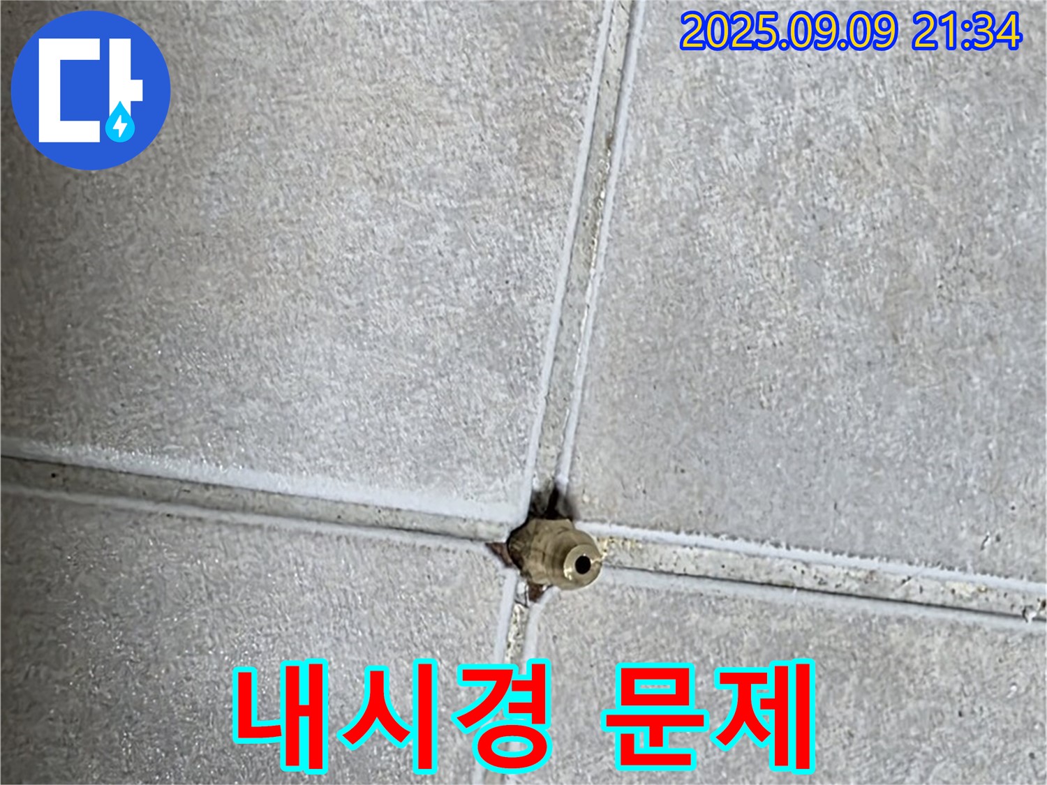 양주 율정마을 아파트 누수 - 내시경 검사, 숨겨진 문제 발견