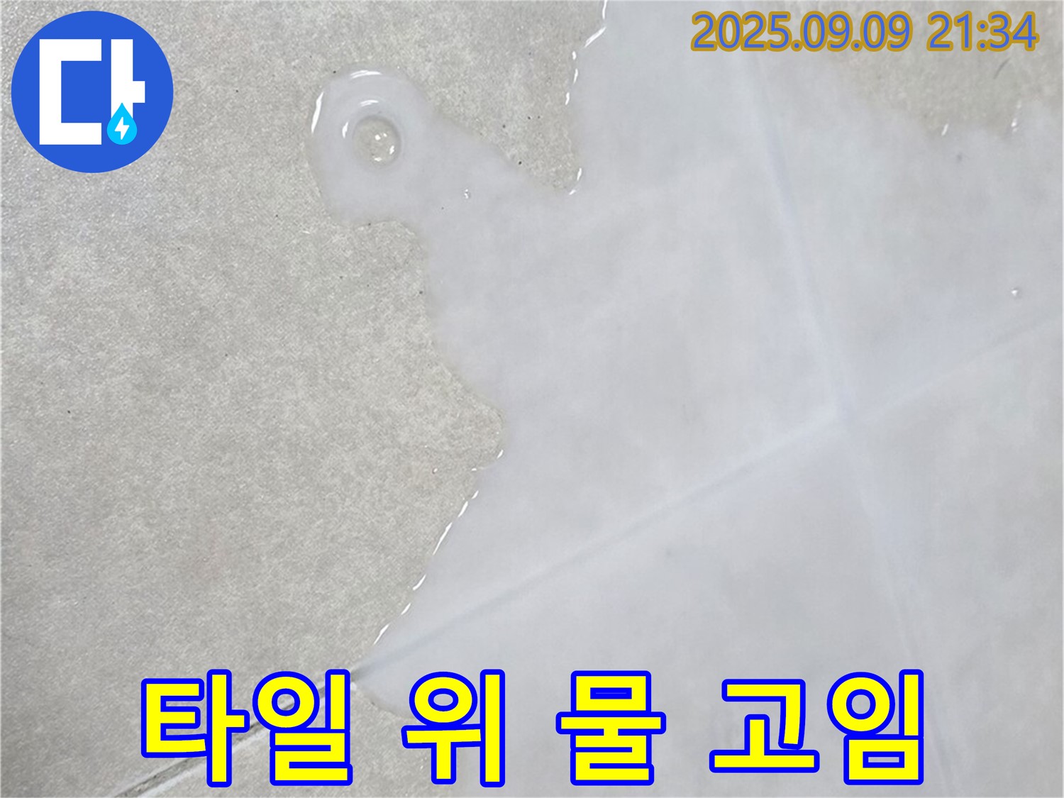 옥정 율정마을 아파트 타일 위 물 고임 - 곰팡이 제거, 누수 해결