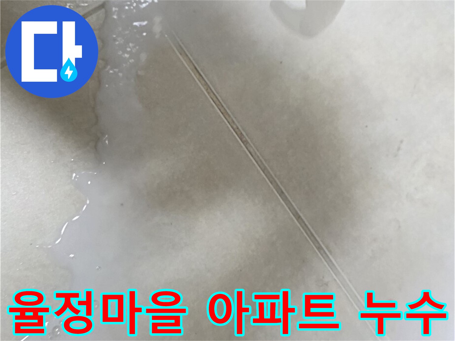 옥정동 율정마을 아파트 누수 - 전문 장비 사용