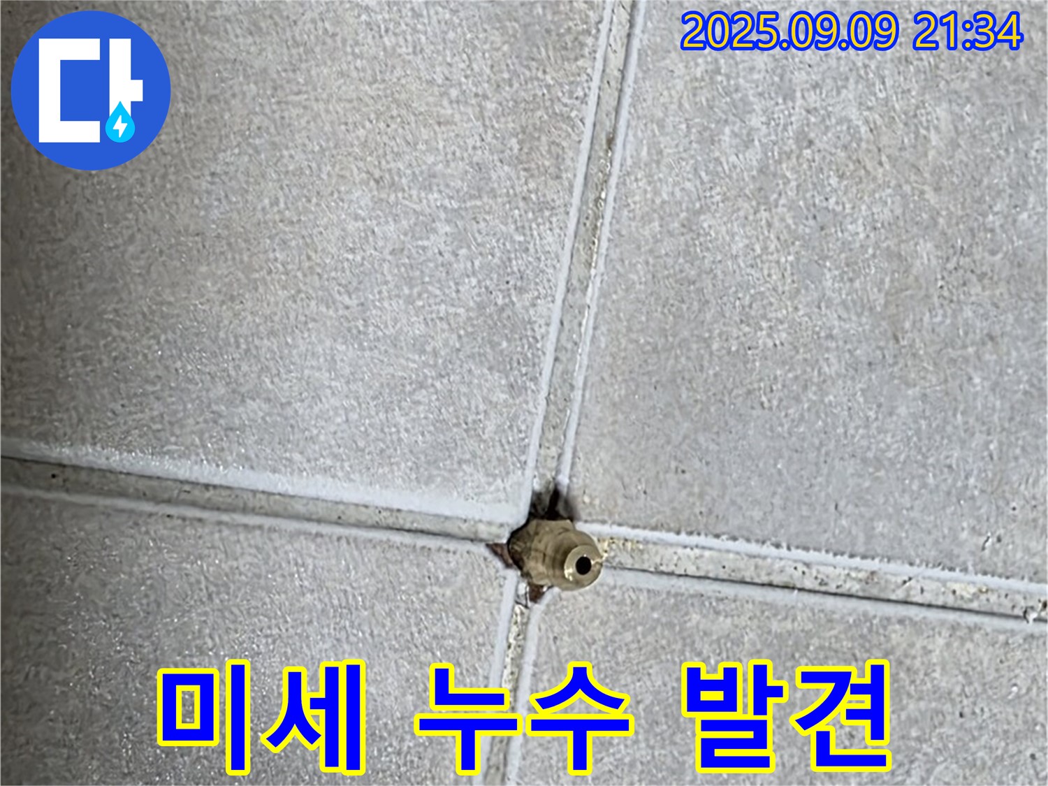 옥정동 율정마을 아파트 미세 누수 발견 - 섬세한 기술력