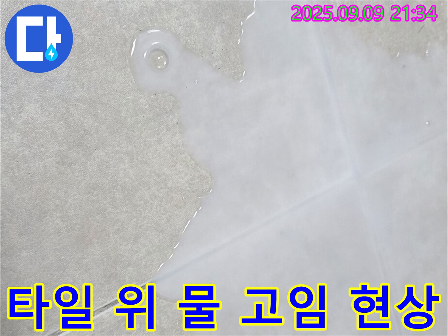 옥정동 율정마을 아파트 타일 위 물 고임 현상 - 고객 맞춤 서비스