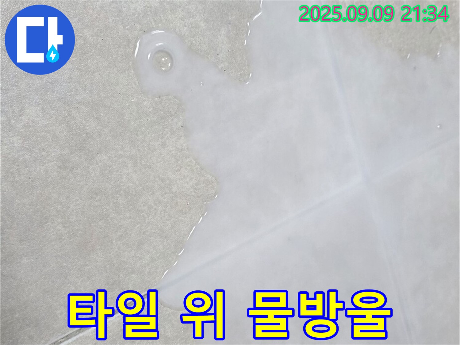옥정동 율정마을 아파트 타일 위 물방울 - 고객 만족 최우선