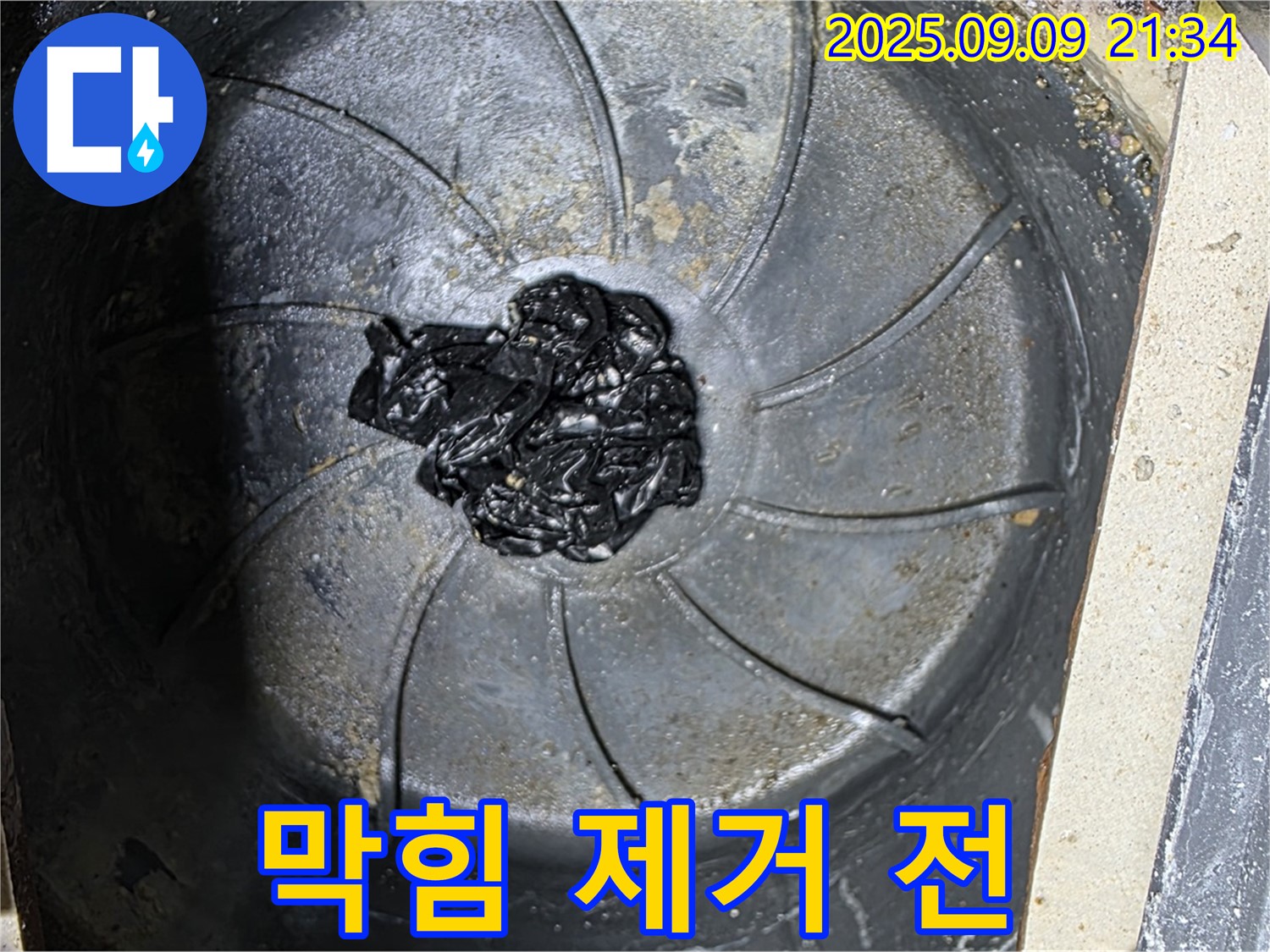 욕실 하수구 막힘 - 제거 전 심각한 상태