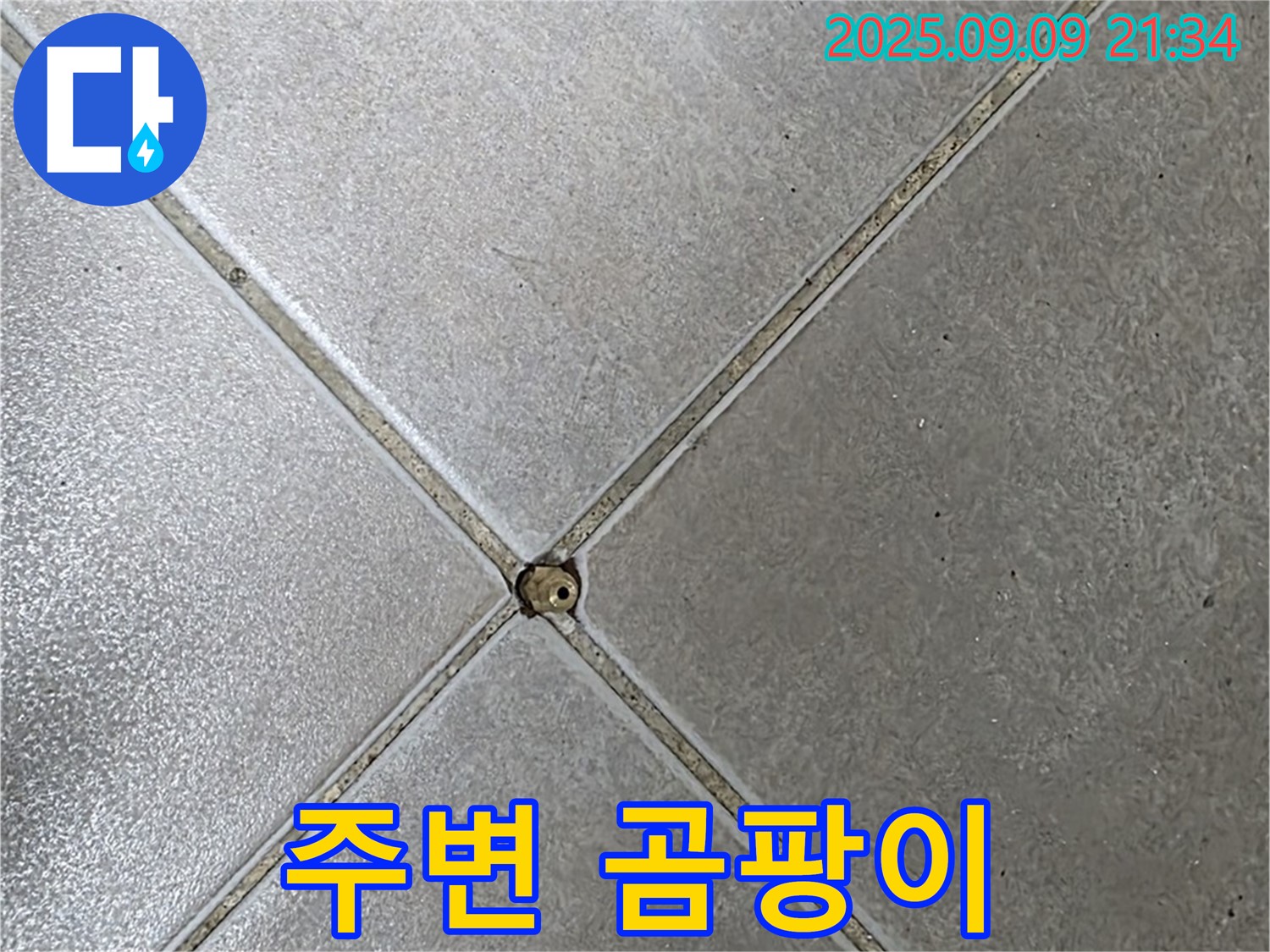 타일 틈새 누수 - 곰팡이