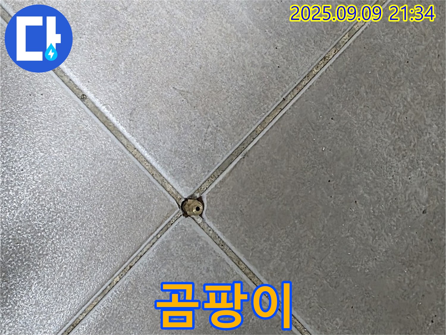 타일 틈새 누수 - 곰팡이