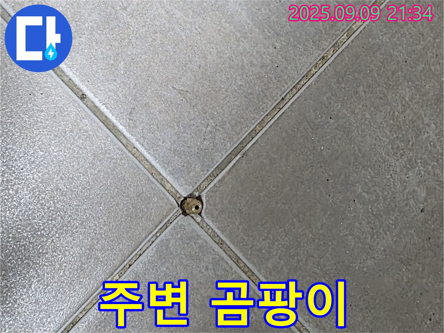 타일 틈새 누수 - 곰팡이