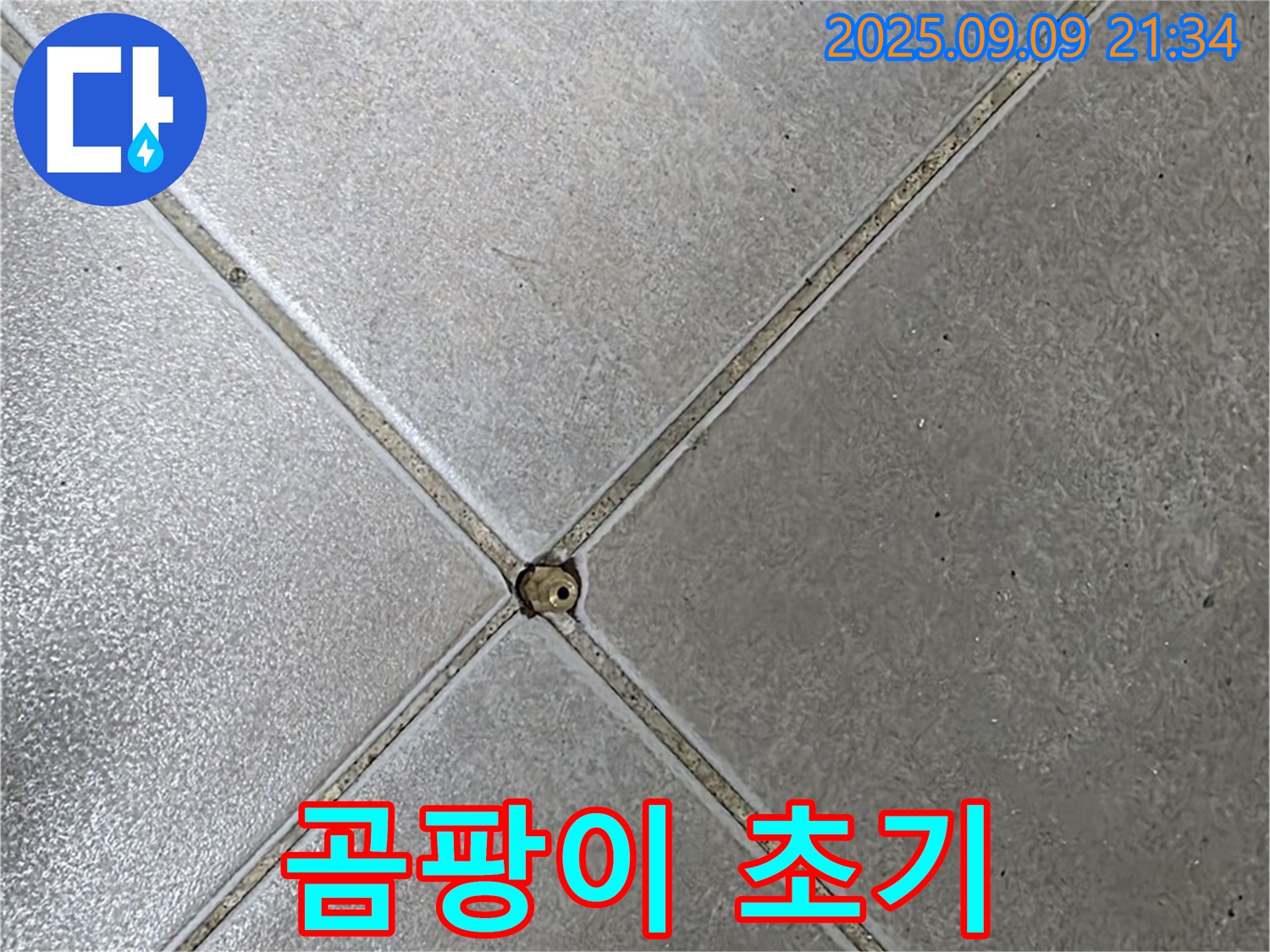 타일 틈새 누수 - 곰팡이
