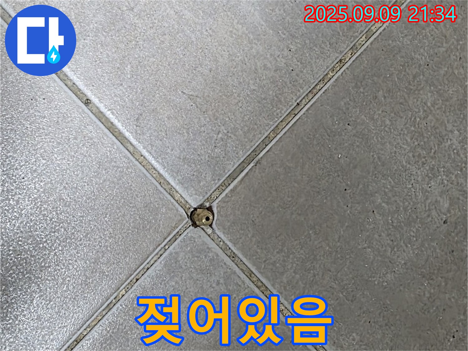타일 틈새 누수 - 젖어있음