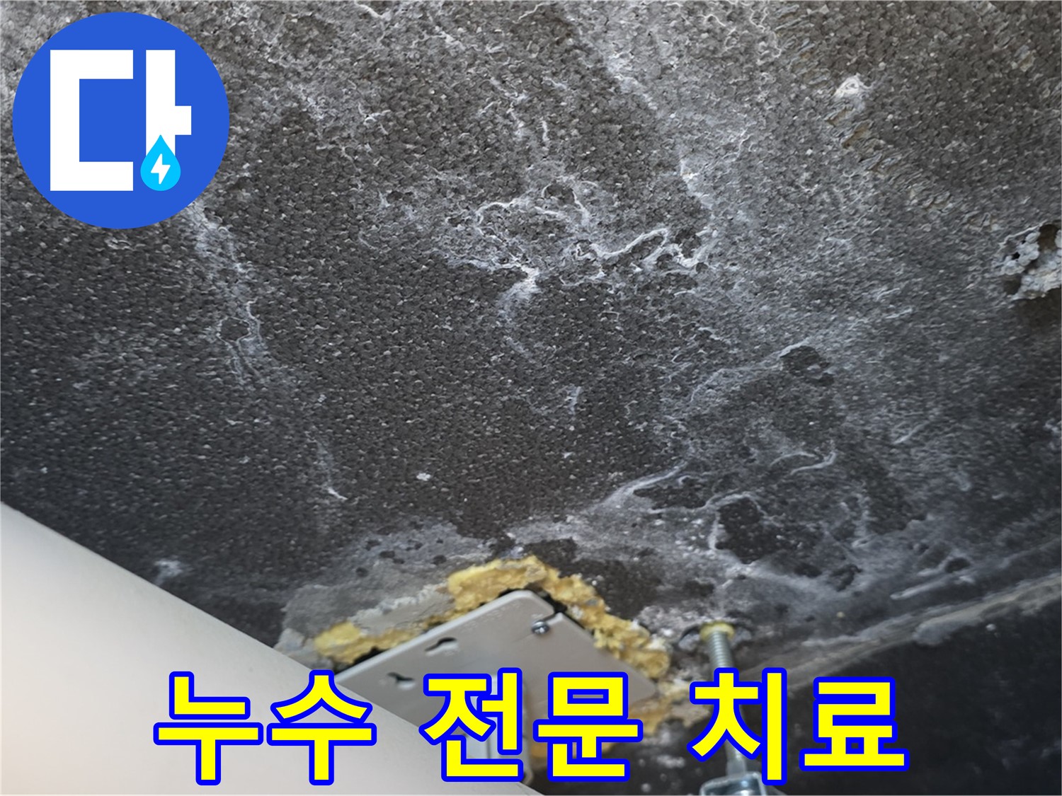 누수 전문 치료 - 완벽한 문제 해결