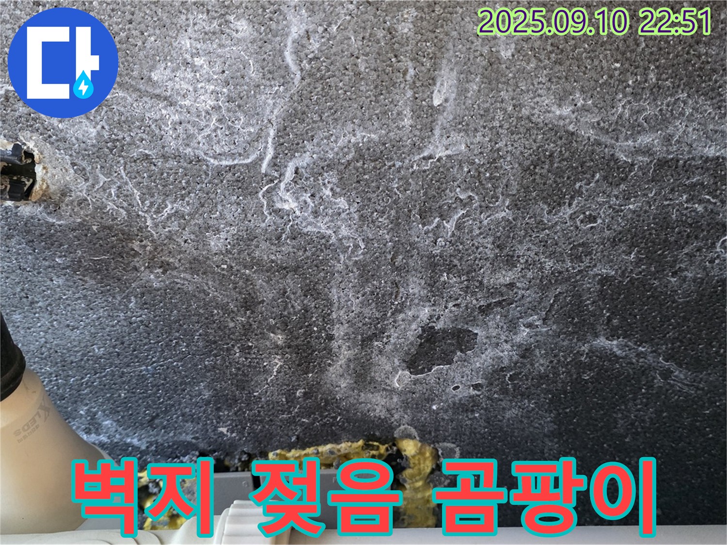 벽지 젖음 곰팡이 - 누수로 인해 벽지가 젖고 곰팡이가 발생했습니다.