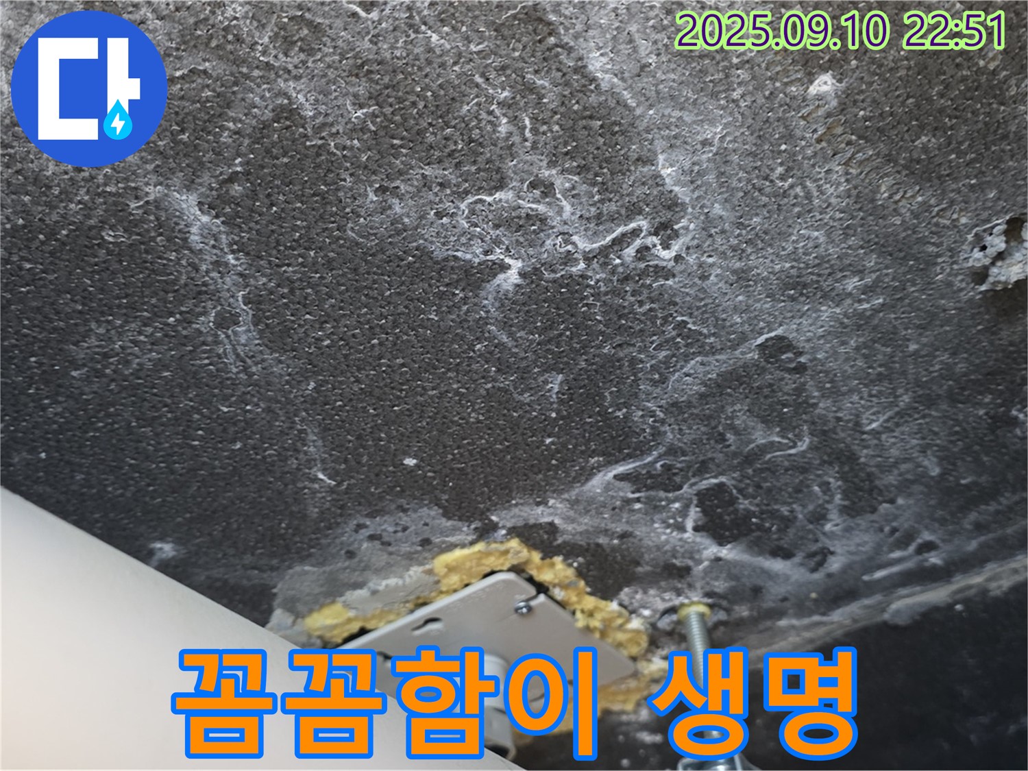 석회와 곰팡이 제거 작업을 진행 중인 천장 사진 - 꼼꼼하게 석회와 곰팡이를 제거하고 있습니다.