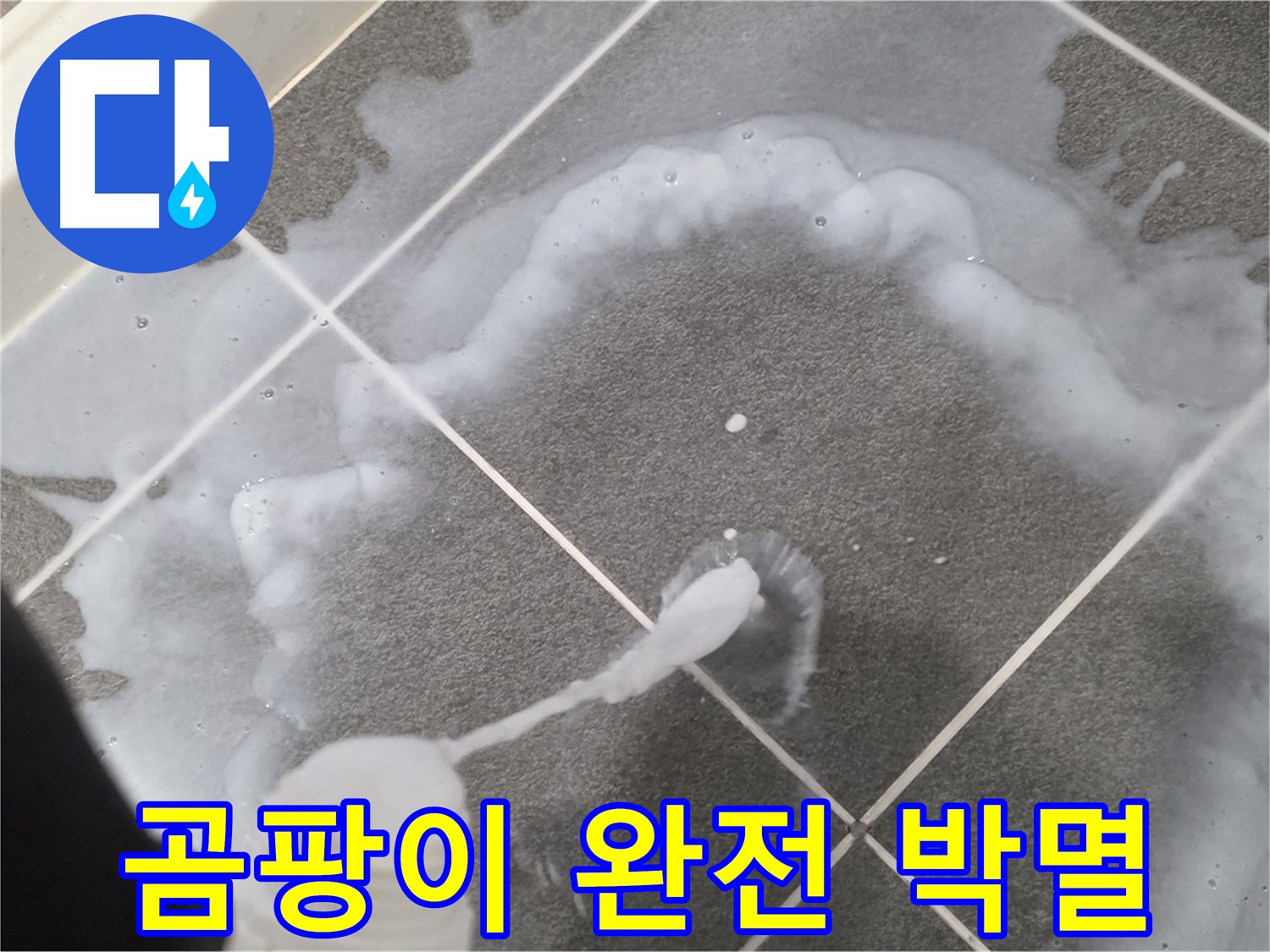 파주 동패동 아파트 욕실 - 곰팡이 완전 박멸로 깨끗한 욕실 완성