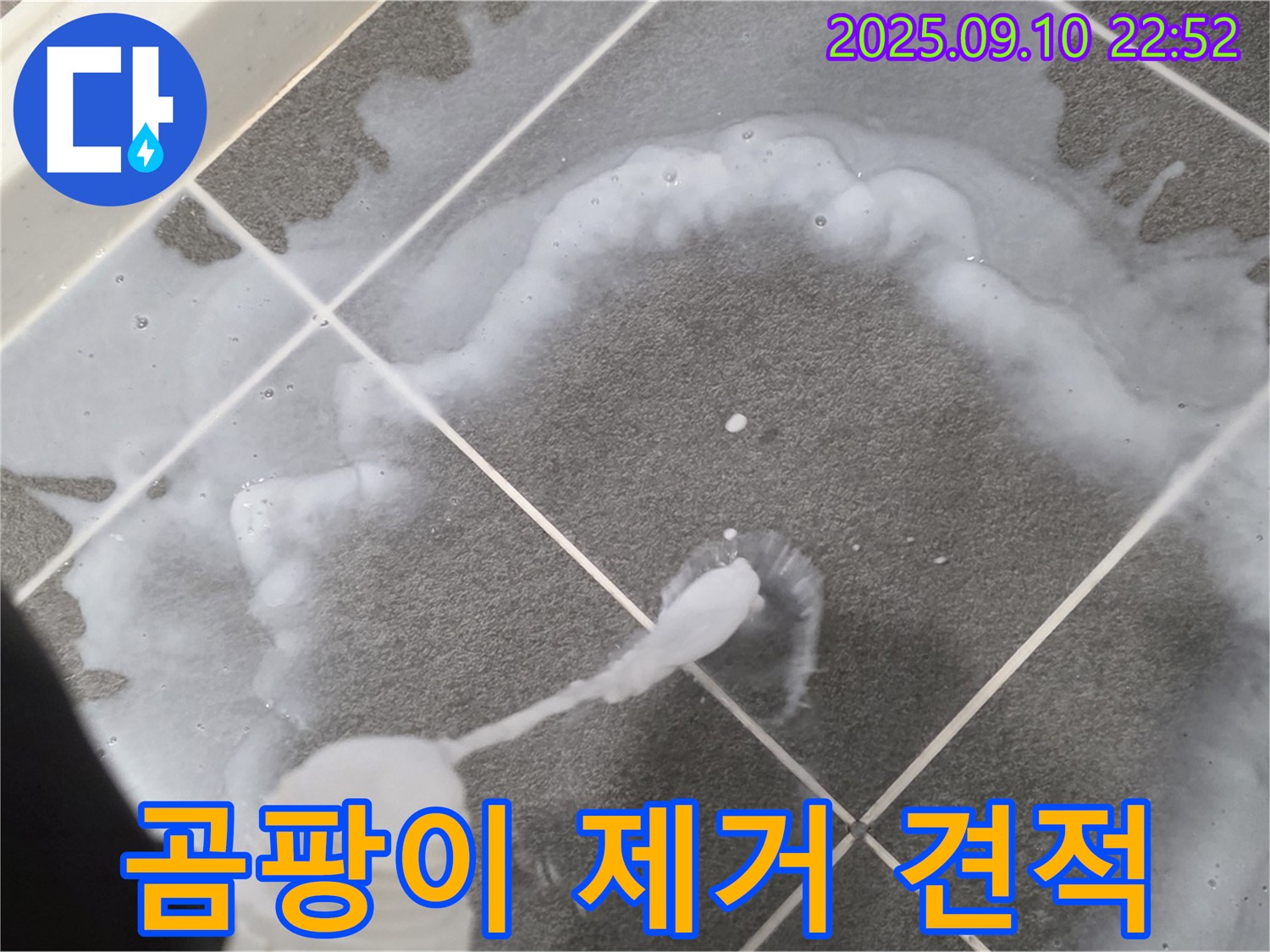 파주 운정어반프라임 곰팡이 제거 견적 - 곰팡이, 정확한 견적으로 해결!