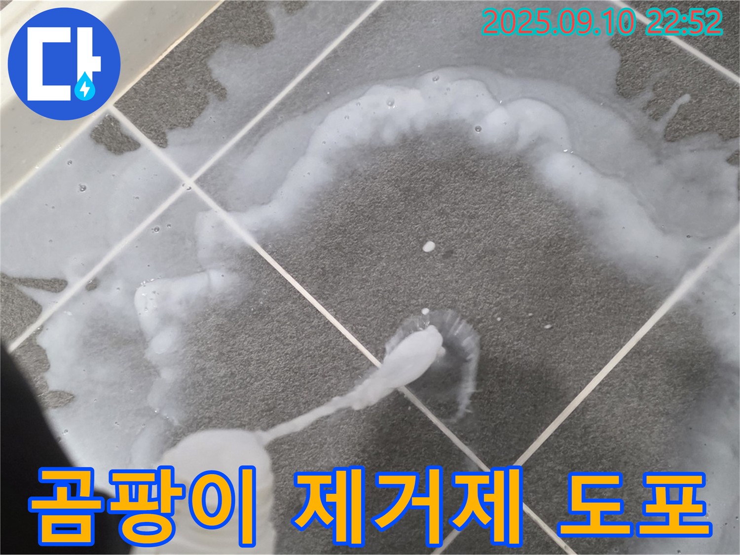 파주 운정어반프라임 곰팡이 제거제 도포 - 곰팡이 뿌리까지 말끔하게!