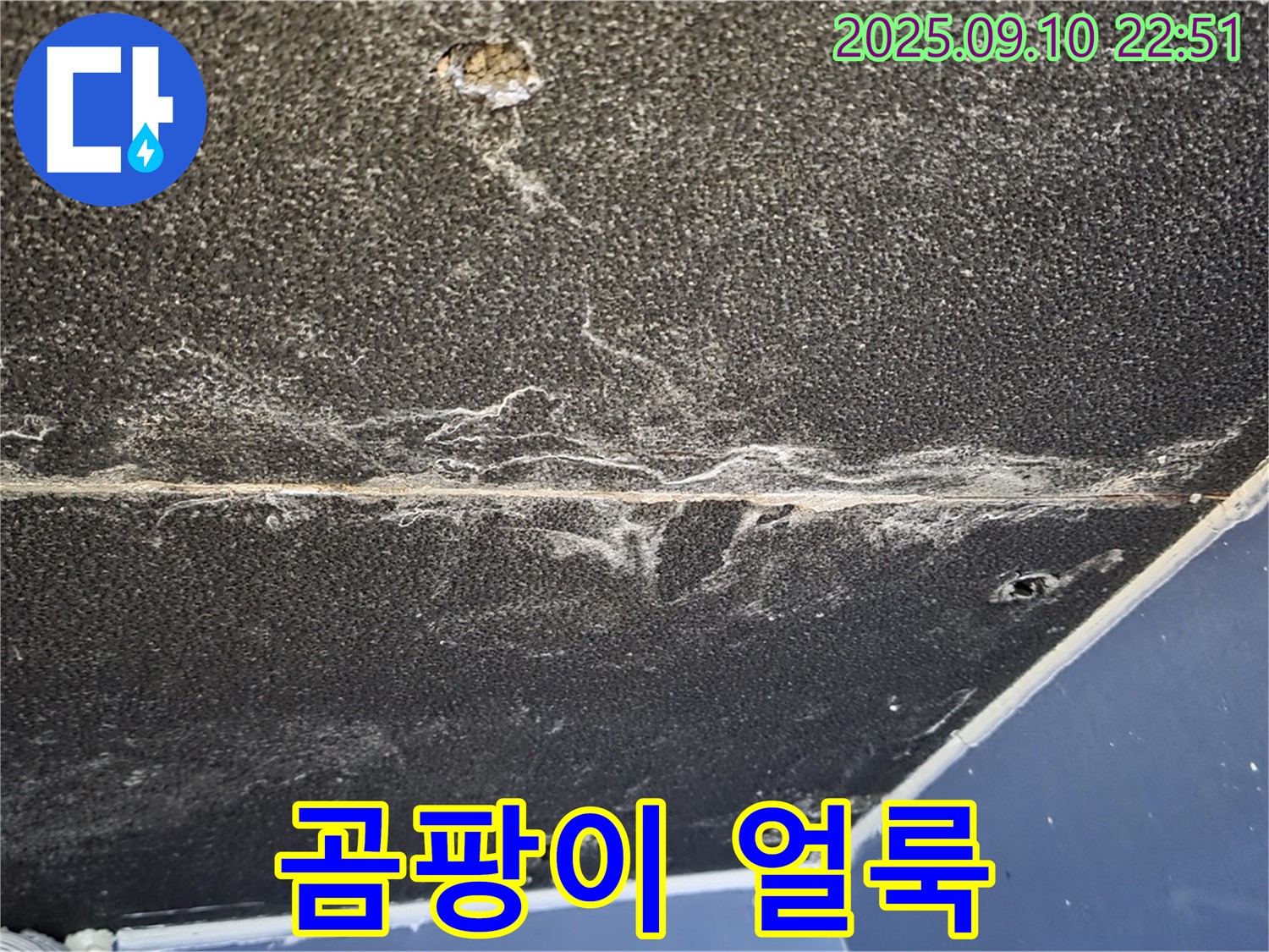 파주시 동패동 운정어반프라임 아파트 천장 - 곰팡이 얼룩이 심각한 천장 누수 현장입니다.