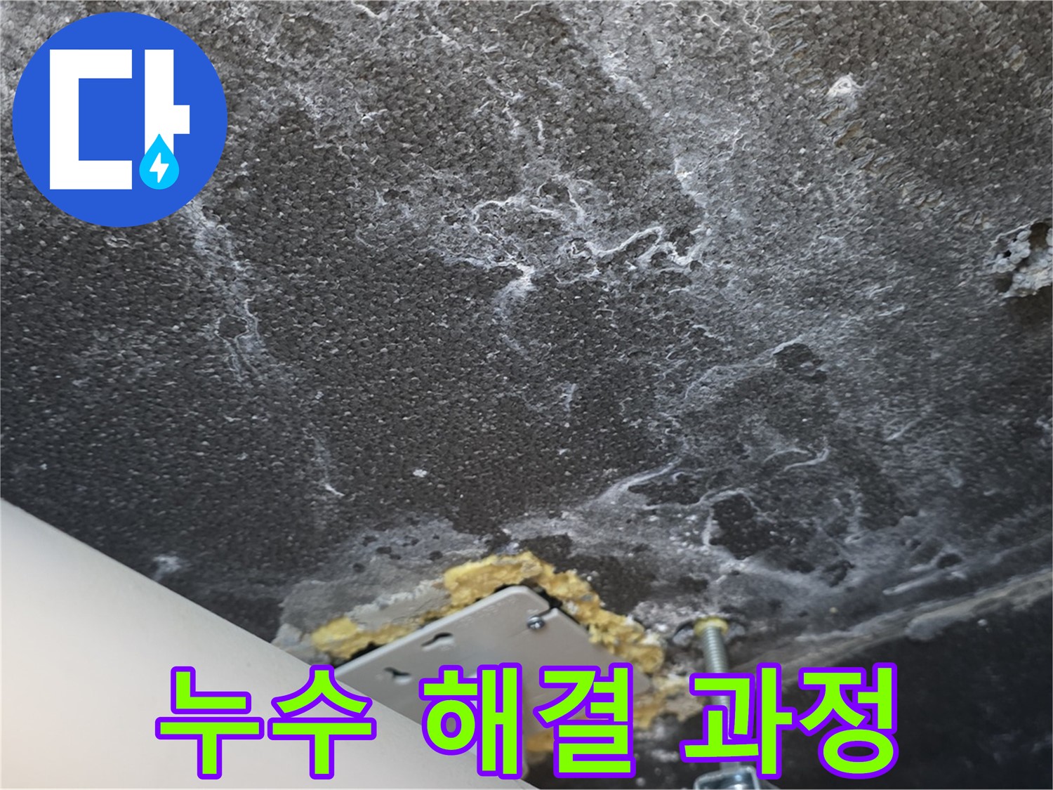 파주시 동패동 천장 누수 문제 해결 과정 상세 기록