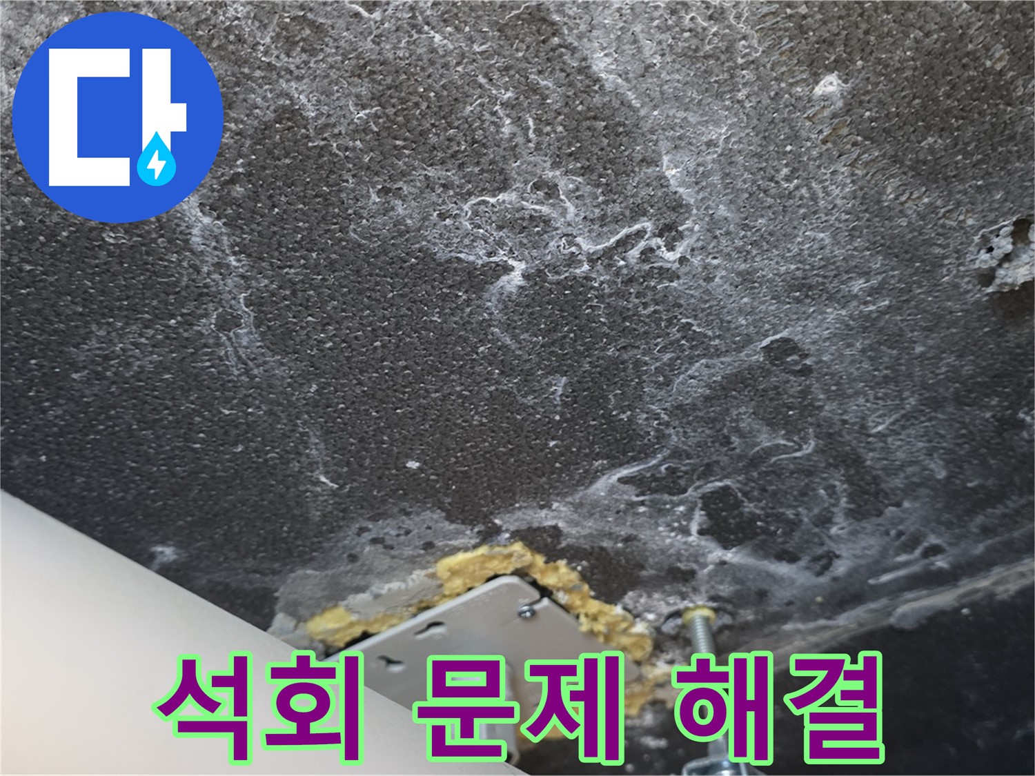 파주시 동패동 천장 누수 석회 문제 해결 과정 상세 기록