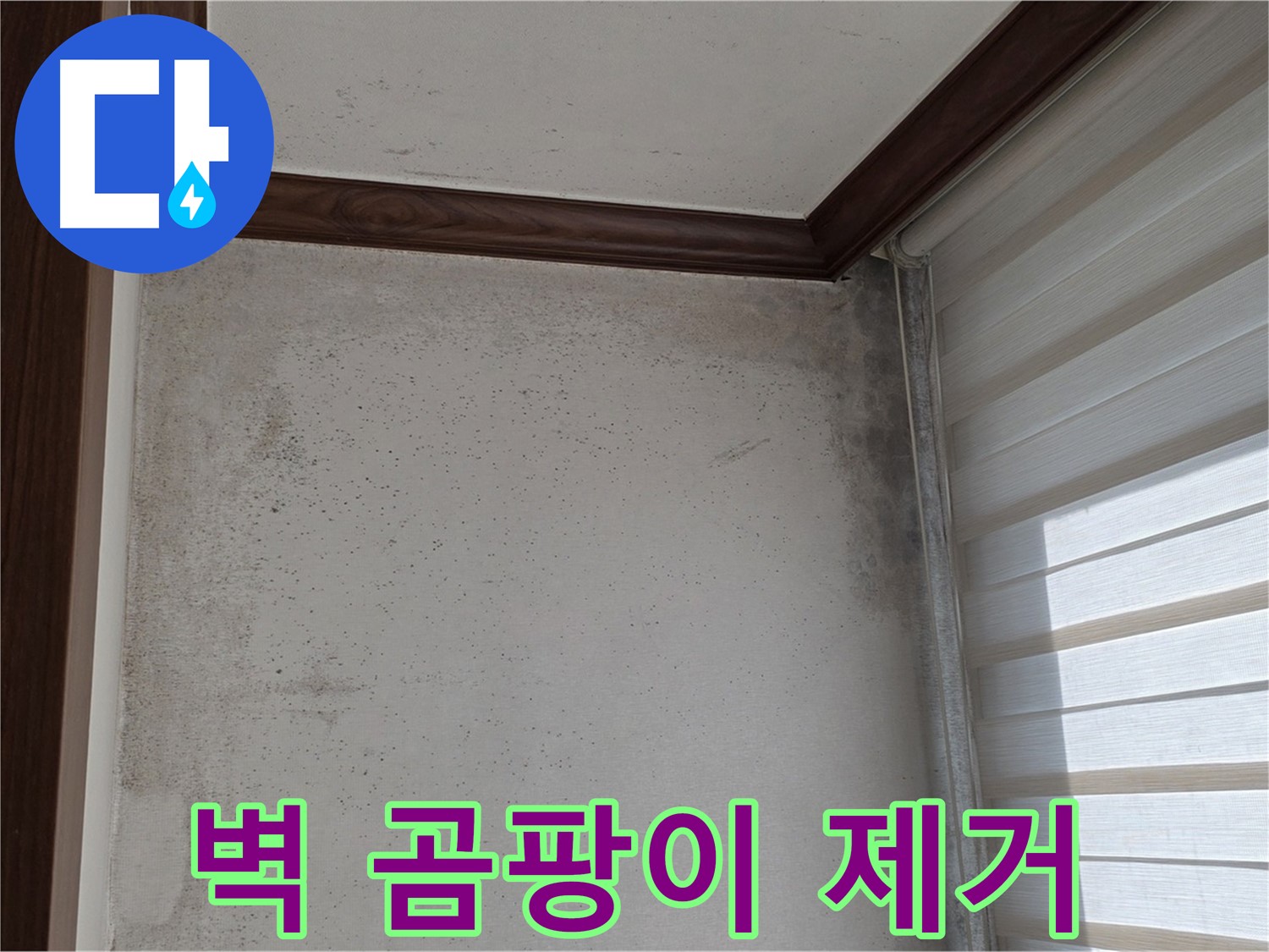 노원구 중계동 벽 곰팡이 - 결로 현상으로 인한 곰팡이 완벽 제거 시공