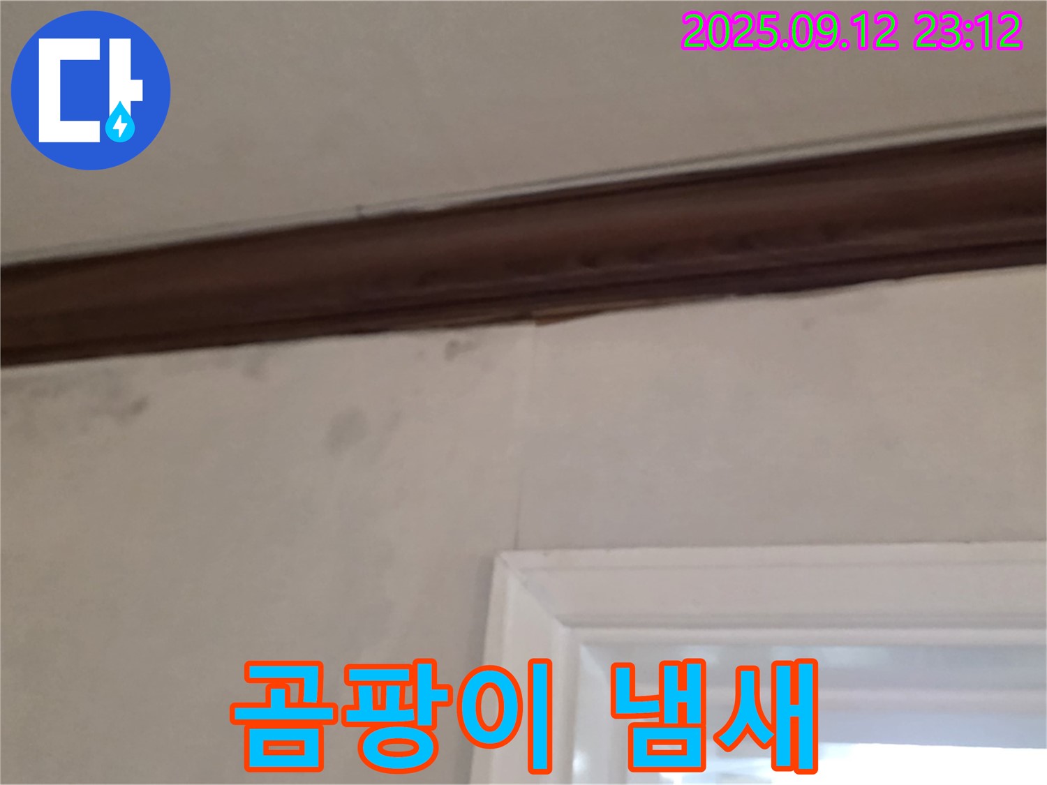 노원구 중계동 현대5차 아파트 벽면 누수 - 곰팡이 냄새