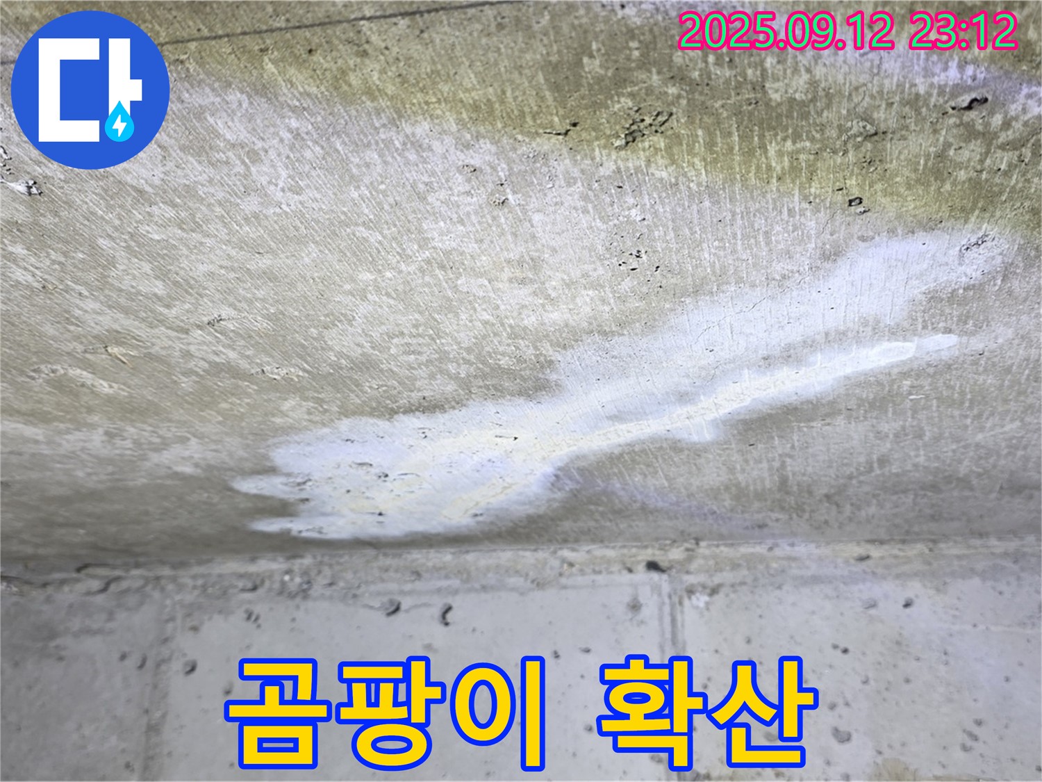 중계1동 현대5차 아파트 누수 - 곰팡이 확산 - 가족 건강 비상