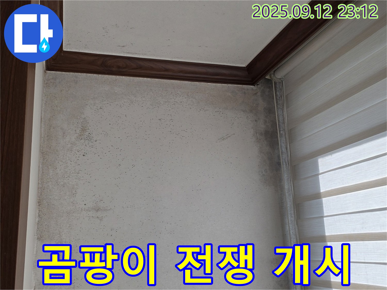중계동 현대5차 211동 아파트 누수 현장 - 곰팡이와의 전쟁을 선포하고 누수 해결 작전을 개시합니다!