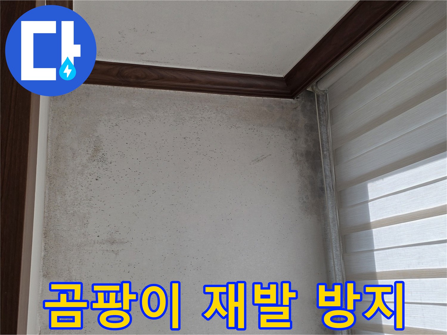 중계동 현대5차 아파트 곰팡이 누수 - 완벽 해결 및 재발 방지 시공
