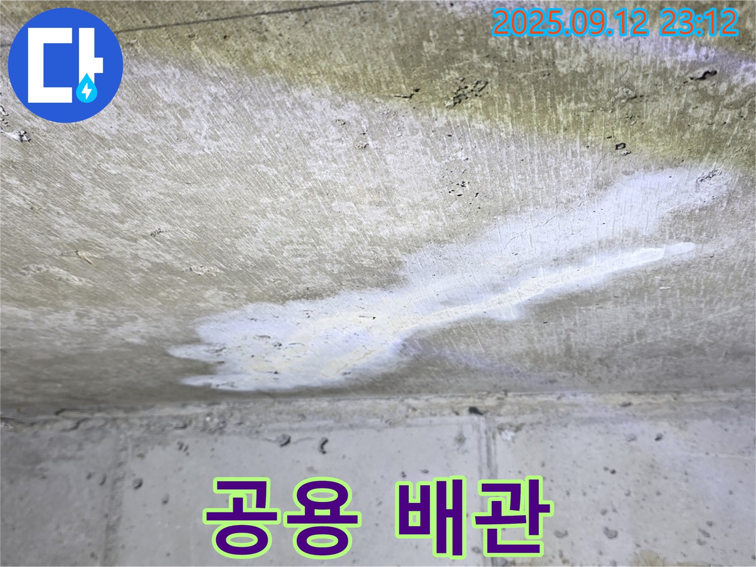 중계동 현대5차 아파트 누수 - 윗집 공용 배관 - 아파트 전체 문제