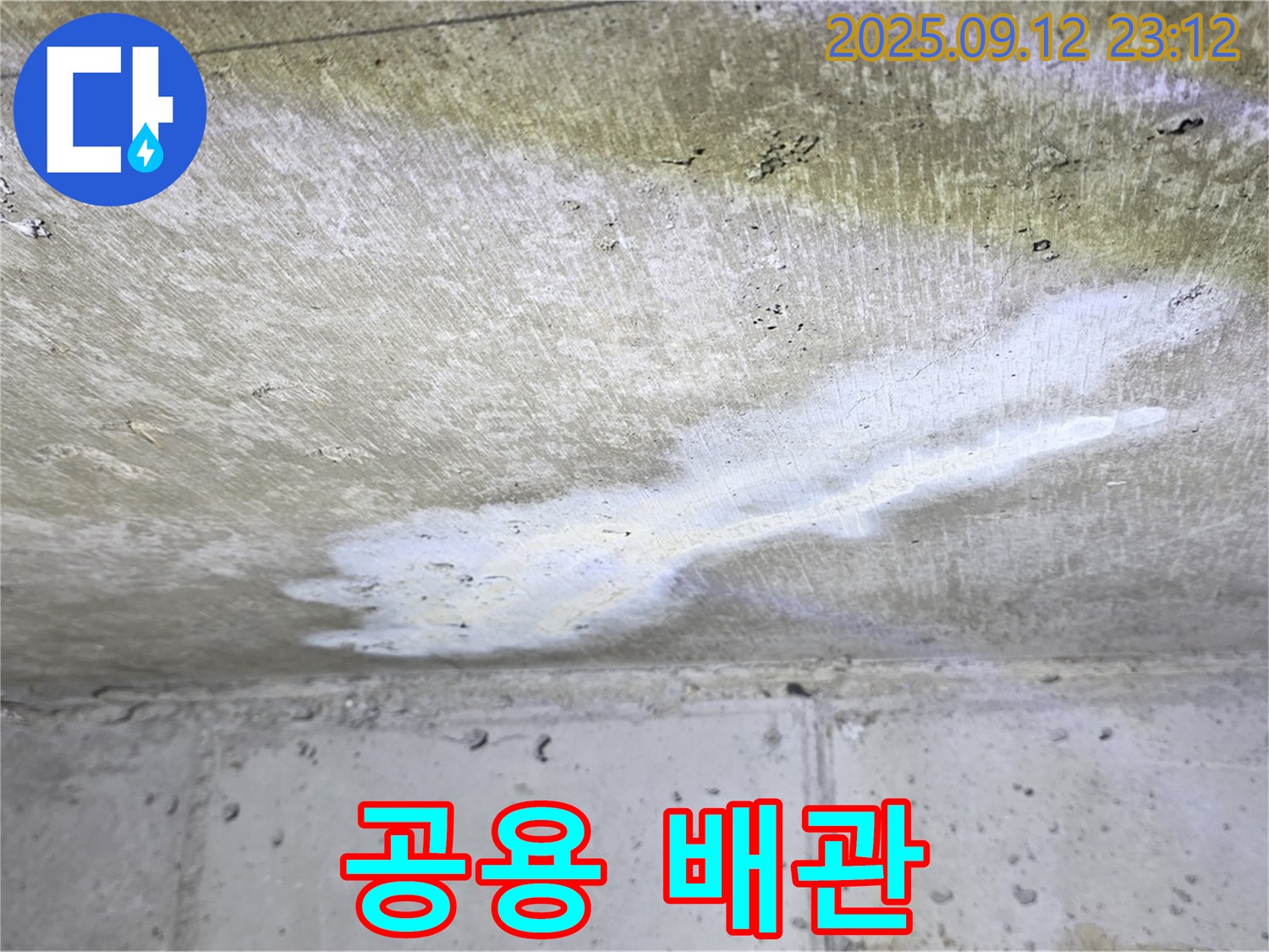 중계동 현대5차 아파트 누수 - 윗집 공용 배관 - 아파트 전체 문제
