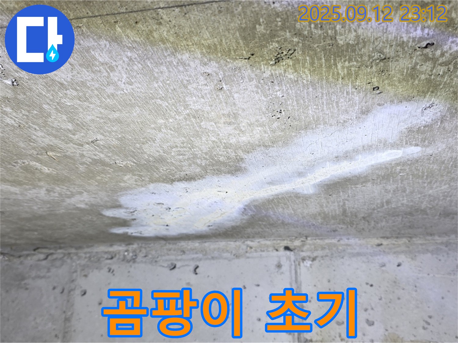 중계동 현대5차 아파트 누수 - 천장 곰팡이 초기 - 누수 의심 - 서둘러 점검