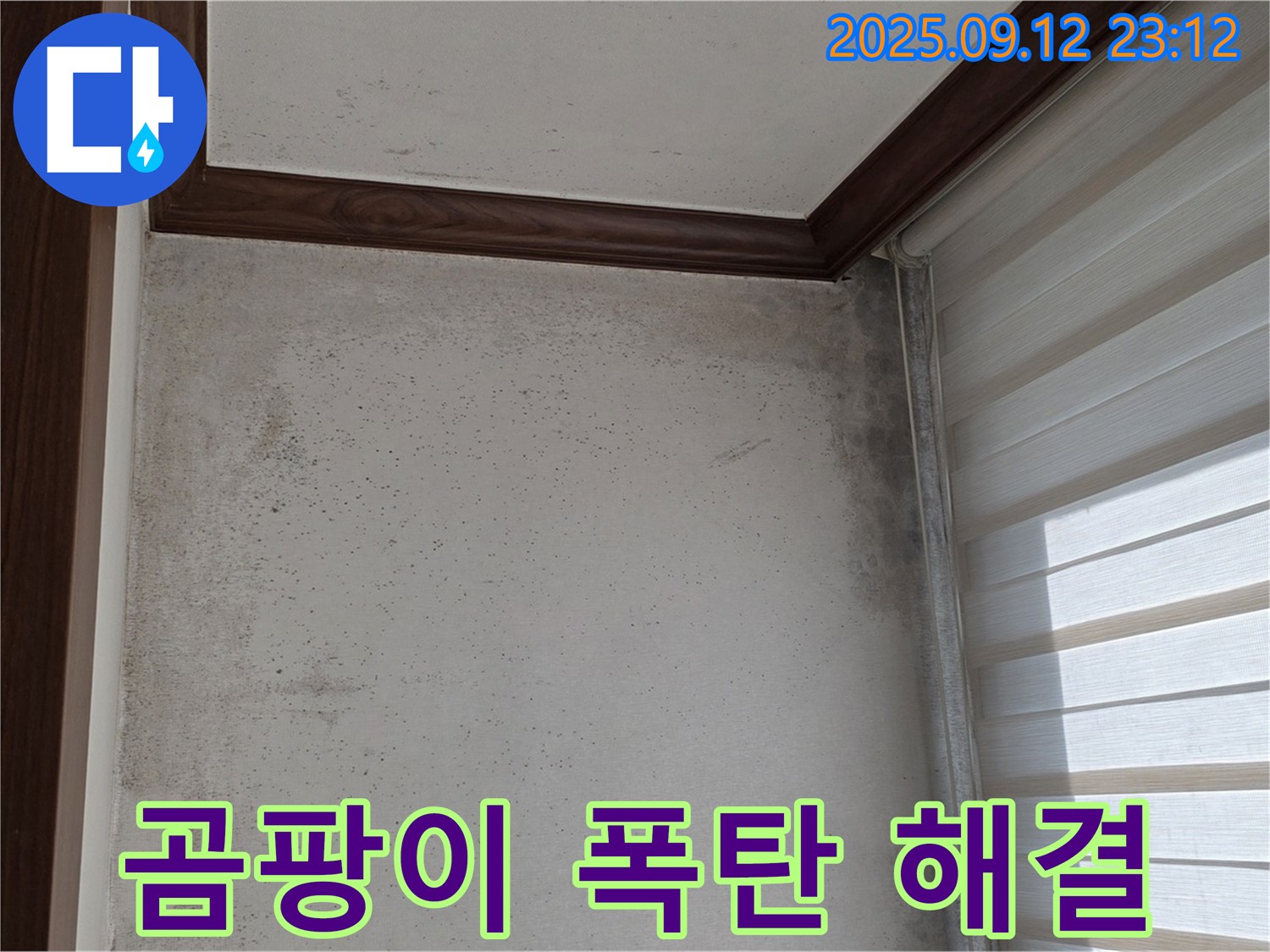 중계동 현대5차 아파트 누수 현장 - 곰팡이가 심각하게 발생한 곳에 누수 전문가가 방문하여 문제 해결에 나섰습니다.