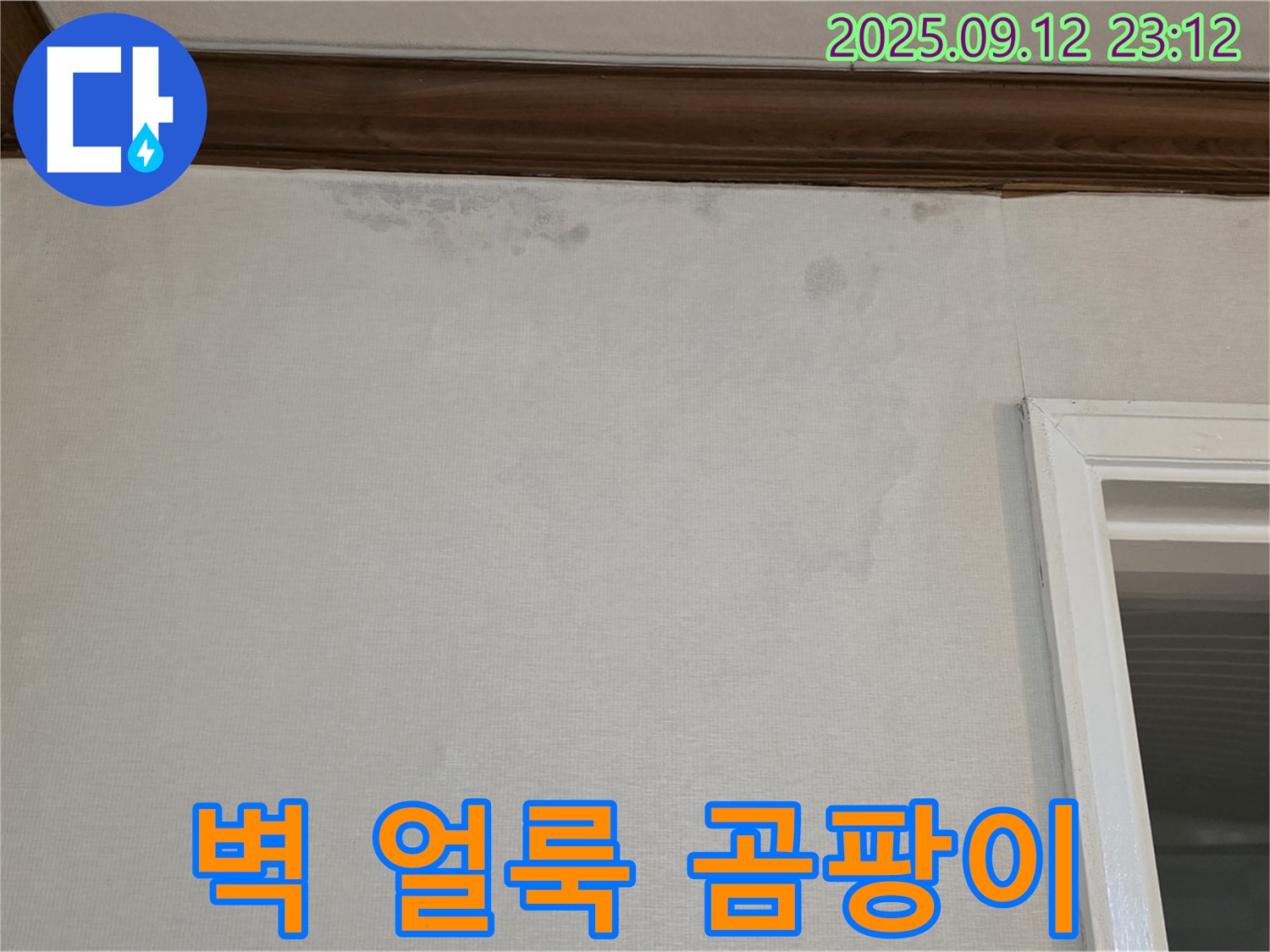 중계동 현대5차 아파트 벽 얼룩 - 곰팡이 초기 증상 의심