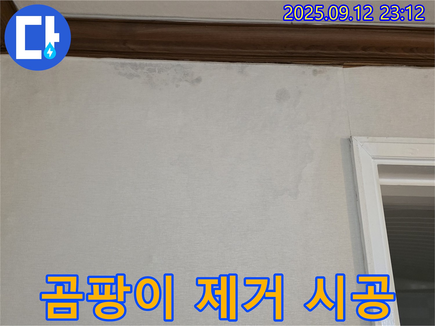 중계동 현대5차 아파트 벽면 곰팡이 제거 - 쾌적한 환경을 위한 시공